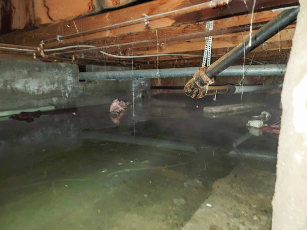 Best Flood restoration services  in Cherryvale, KS